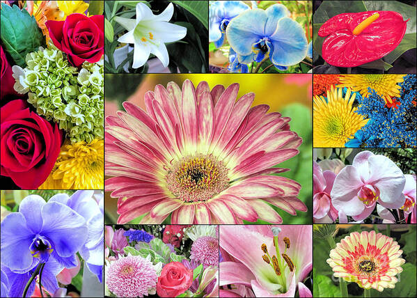 Spring Flowers Poster featuring the photograph Spring Floral Collage by Janice Drew