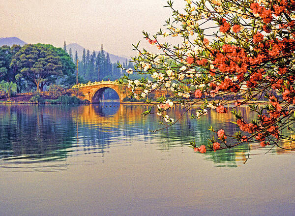 China Poster featuring the photograph Springtime at West Lake by Dennis Cox