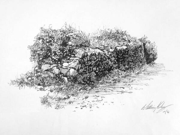 Pen & Ink Poster featuring the drawing Stone Fence by William Kelsey