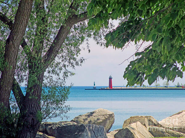 Lake Michigan Poster featuring the photograph Summertime Along Lake Michigan by Kay Novy