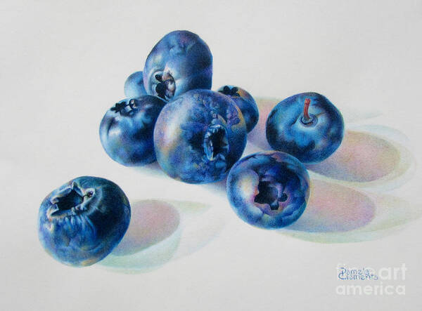 Blueberry Paintings Poster featuring the painting Summertime Blues by Pamela Clements