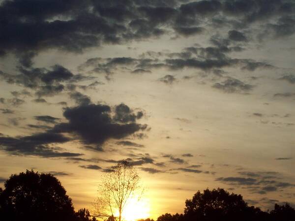  Poster featuring the photograph Sun down by Robin Coaker