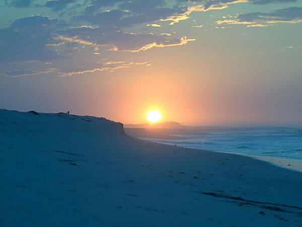 Sun Poster featuring the photograph Sun Dune by Newwwman