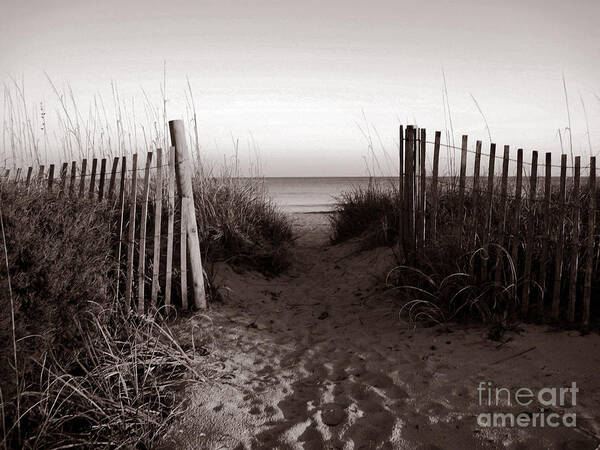 Beach Poster featuring the photograph Sunrise at Myrtle Beach SC by Susanne Van Hulst