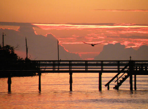 Sunset Poster featuring the photograph Sunset and the Fishing Dock by Rosalie Scanlon