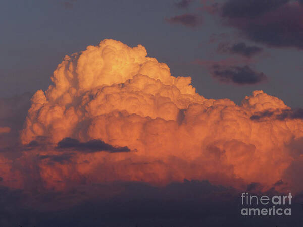 Shower Cloud Poster featuring the photograph Cumulus Cloud at Sunset by Phil Banks