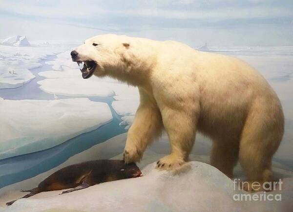 Polar Bear Poster featuring the photograph Survival of the Fittest by Cindy Manero