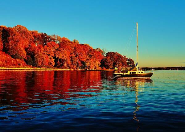 Fall Poster featuring the photograph Swan Point on the Magothy by Beth Deitrick