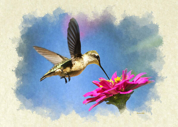 Note Card Poster featuring the mixed media Note Card Sweet Hummingbird by Christina Rollo