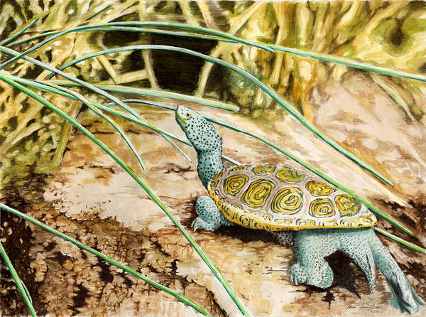 Turtle Poster featuring the painting Terrapin Tenacity by Thomas Hamm