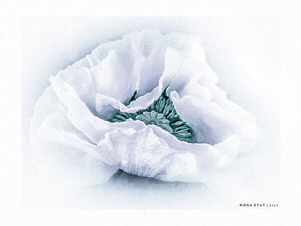 Mona Stut Poster featuring the digital art The Beauty Of White Poppy by Mona Stut