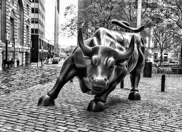 New York Poster featuring the photograph The Bull Black White NYC Wall Street   by Chuck Kuhn