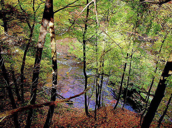 Nature Poster featuring the photograph The Creek Below by Linda Carruth