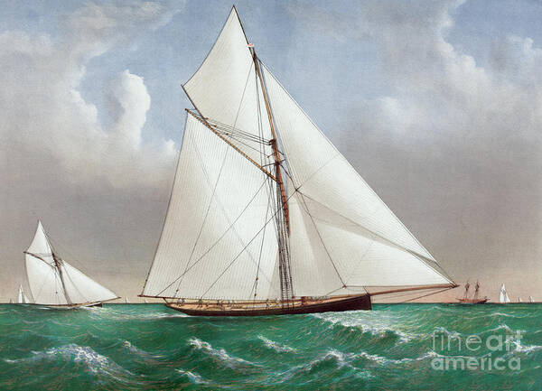 Boat Poster featuring the painting The Cutter Genesta by Currier and Ives