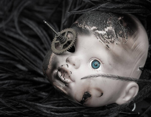 Doll Poster featuring the photograph The Eye of the Beholder by Chris Johnson-Standley