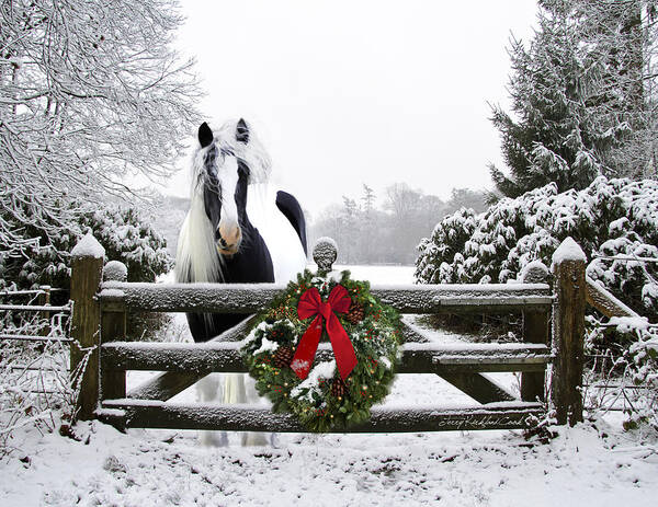 Equine Poster featuring the photograph The Perfect Christmas by Terry Kirkland Cook