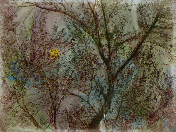 Impression Poster featuring the mixed media The Universe in a Tree by Lenore Senior