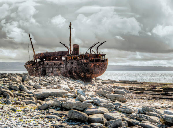 Aran Islands Poster featuring the photograph The Wreck of Plassey by Natasha Bishop