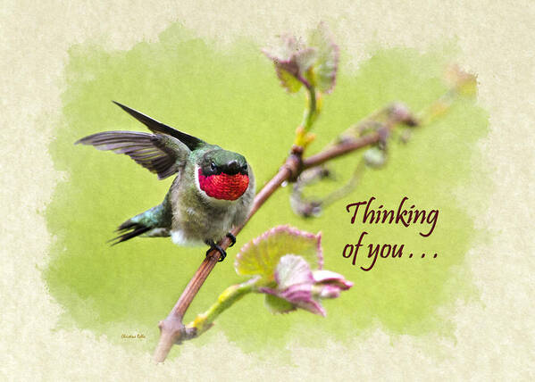 Thinking Of You Poster featuring the mixed media Thinking of You Hummingbird Wing and a Prayer Greeting Card by Christina Rollo