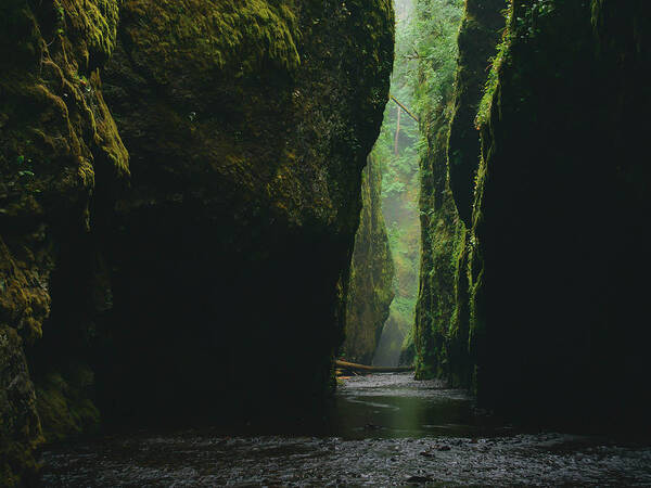 Oregon Poster featuring the photograph Through the River by Britten Adams