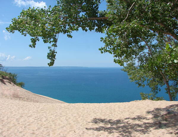 Sleeping Bear Dunes Poster featuring the photograph Top of the Dune at Sleeping Bear by Michelle Calkins