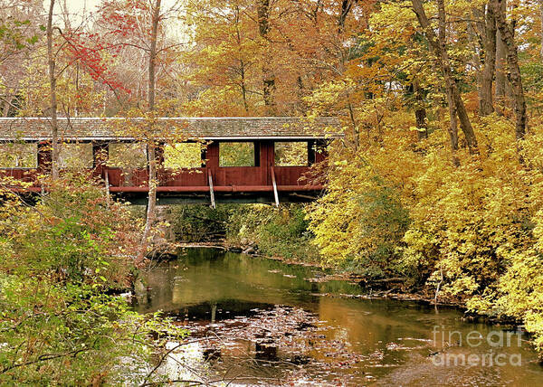 Autumn Poster featuring the photograph Town Brook in Autumn by Janice Drew