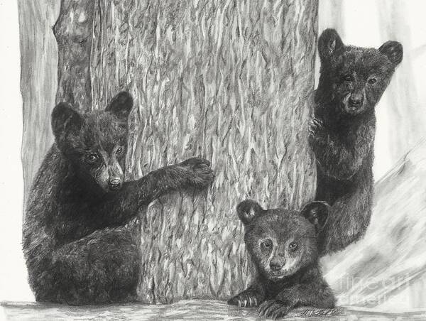 Bear Poster featuring the drawing Tree trio by Meagan Visser