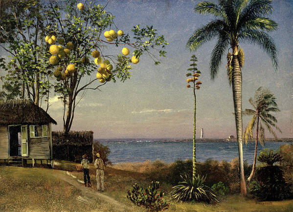 Trees Poster featuring the painting Tropical Scene by Albert Bierstadt