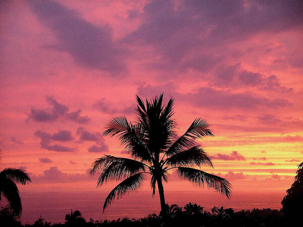 Sunsets Poster featuring the photograph Tropical Sunset by Karen Nicholson