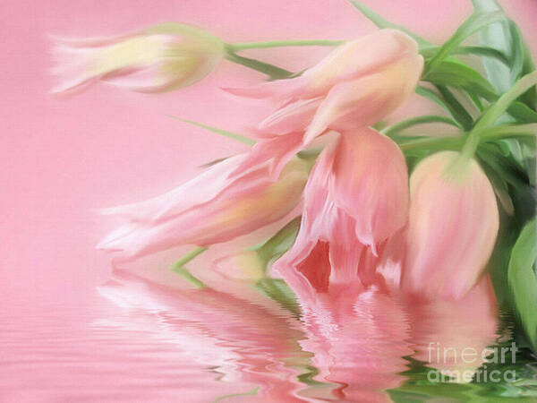 Botanical Poster featuring the painting Tulip Wish by Elaine Manley