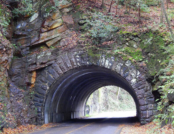 Photography Poster featuring the photograph Tunnel In Tennessee by Phil Perkins