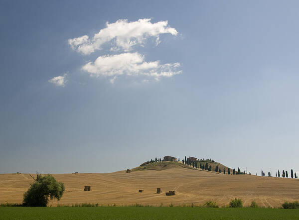 Tuscany Poster featuring the photograph Tuscan Field and Cloud 4699 by Bob Neiman