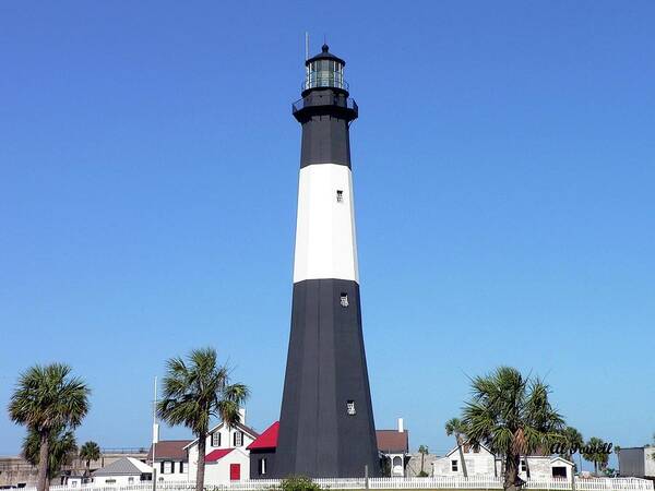 Light Poster featuring the photograph Tybee Island Light by Al Powell Photography USA