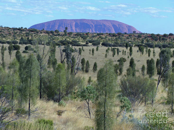 Uluru Poster featuring the photograph Uluru - Australia #2 by Phil Banks