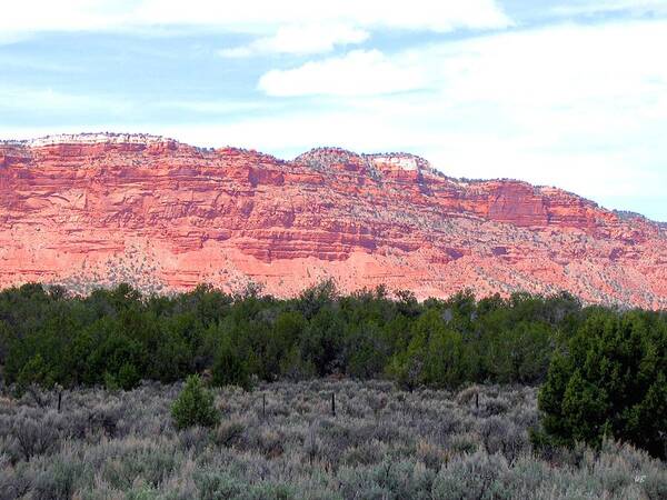 Utah Poster featuring the photograph Utah 3 by Will Borden