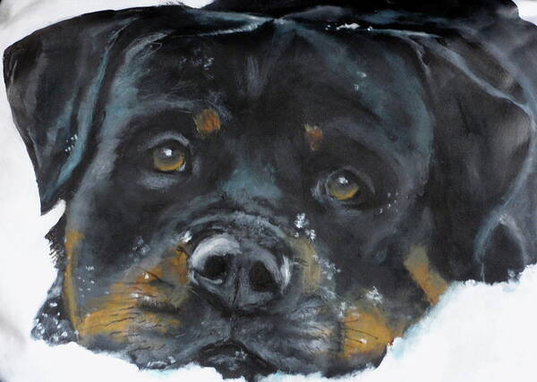 Rottie Poster featuring the painting Vator by Carol Russell