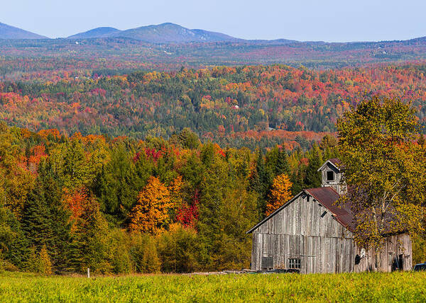 Foliage Poster featuring the photograph Vermont Fall Landscape by Tim Kirchoff