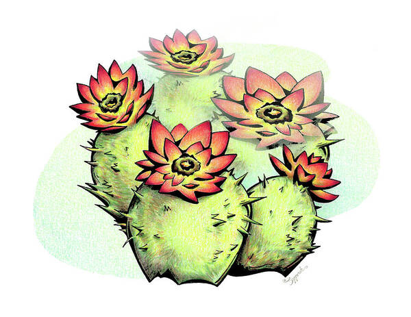 Cactus Poster featuring the drawing Vibrant Flower 6 Cactus by Sipporah Art and Illustration
