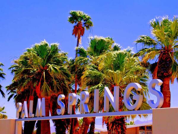 Palm Springs Poster featuring the photograph Visitor Center Gateway 1 by Randall Weidner