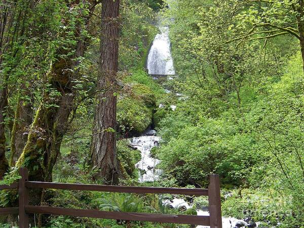 Wahkeena Falls Poster featuring the photograph Wahkeena Falls behind Fence by Charles Robinson