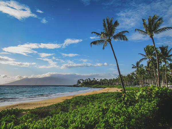 Beach Poster featuring the photograph Wailea Beach by Andy Konieczny