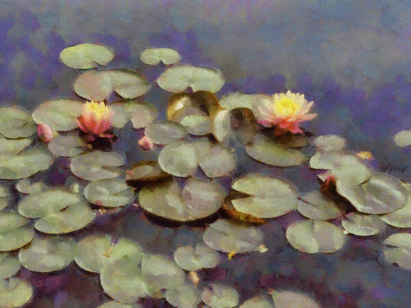Nature Poster featuring the photograph Water Lilies Impressionistic by Ann Powell