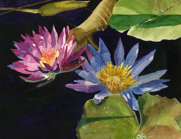 Waterlilies Poster featuring the painting Water Lilies by Lynne Reichhart