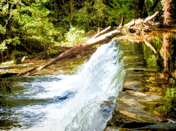 Water Poster featuring the photograph Waterfall in Swarthmore PA by Richard Goldman