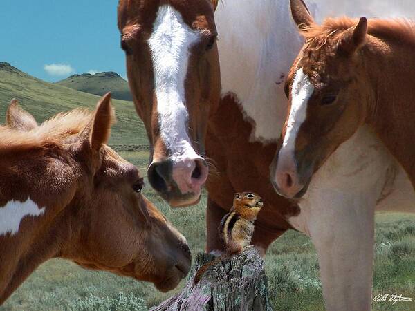 Horses Poster featuring the mixed media Watizit by Bill Stephens