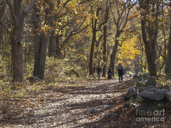 Trees Poster featuring the photograph Wednesday in the Park by Lili Feinstein