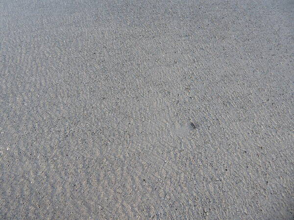 Sand Poster featuring the photograph Wet sand by Margaret Brooks