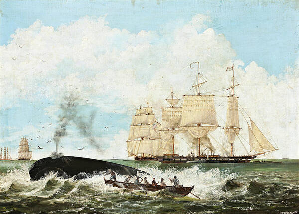 American School Poster featuring the painting Whaling by MotionAge Designs