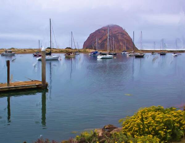 Morro Bay Poster featuring the photograph What A View by Heidi Smith