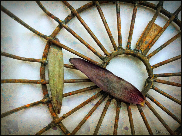 Wheel Poster featuring the photograph Wheel and Leaves by Peggy Dietz
